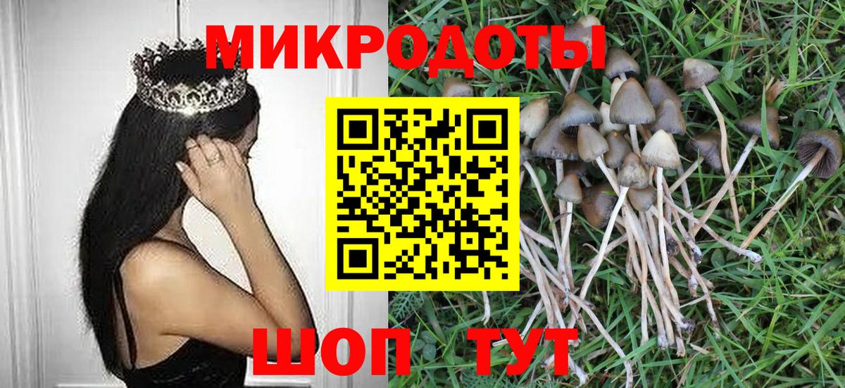 Псилоцибиновые грибы MAGIC MUSHROOMS  Вход с VPN  что такое наркотик  Домодедово 