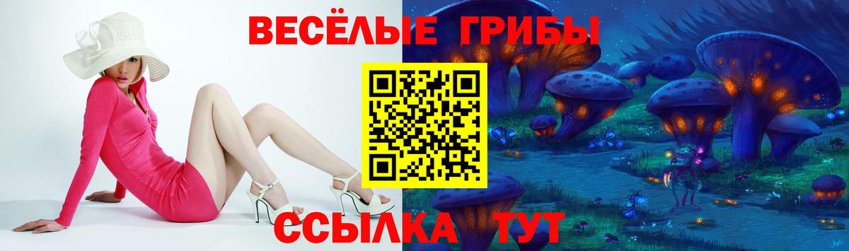 Псилоцибиновые грибы мицелий Домодедово